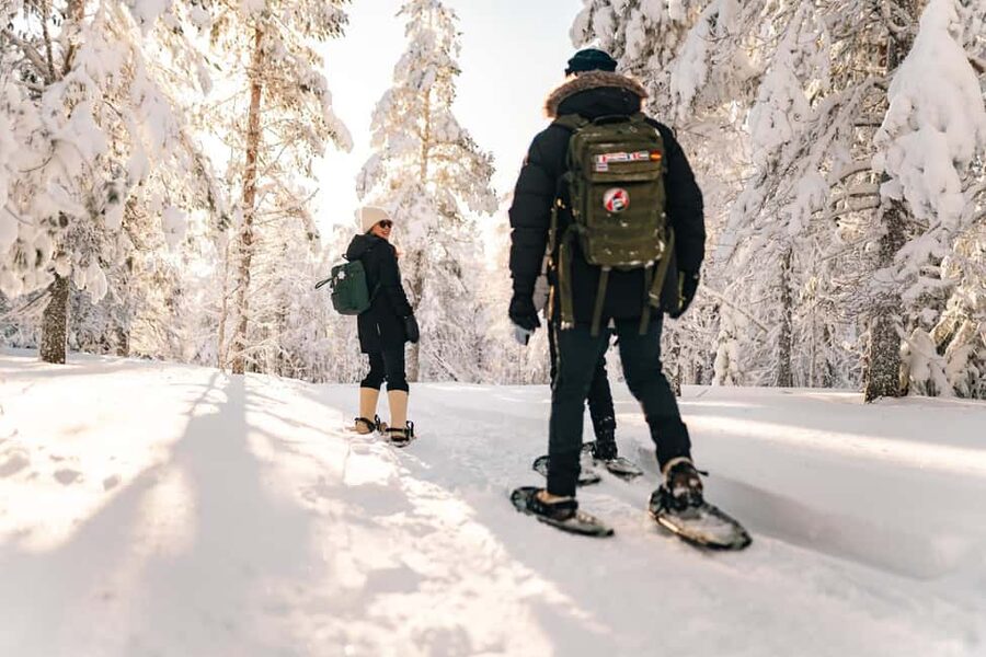 Rovaniemi: Snowshoeing in the Arctic Wilderness - From Revontuli to the Quiet Arctic: How the 3 Hours Are Used
