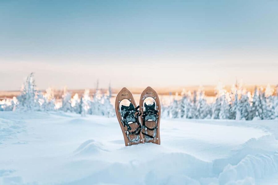 Rovaniemi: Snowshoeing in the Arctic Wilderness - Viewpoints and Winter Water: The Part That Makes You Look Up
