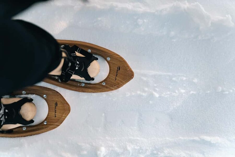 Rovaniemi: Snowshoeing in the Arctic Wilderness - Arctic Ecosystem Stories: Wildlife and Winter Life Explained Simply