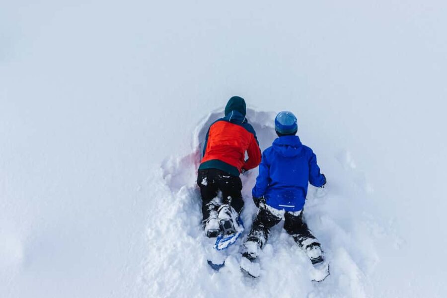 Rovaniemi: Snowshoeing Tour with Wild Lunch and Hotel Pickup - Key highlights worth prioritizing