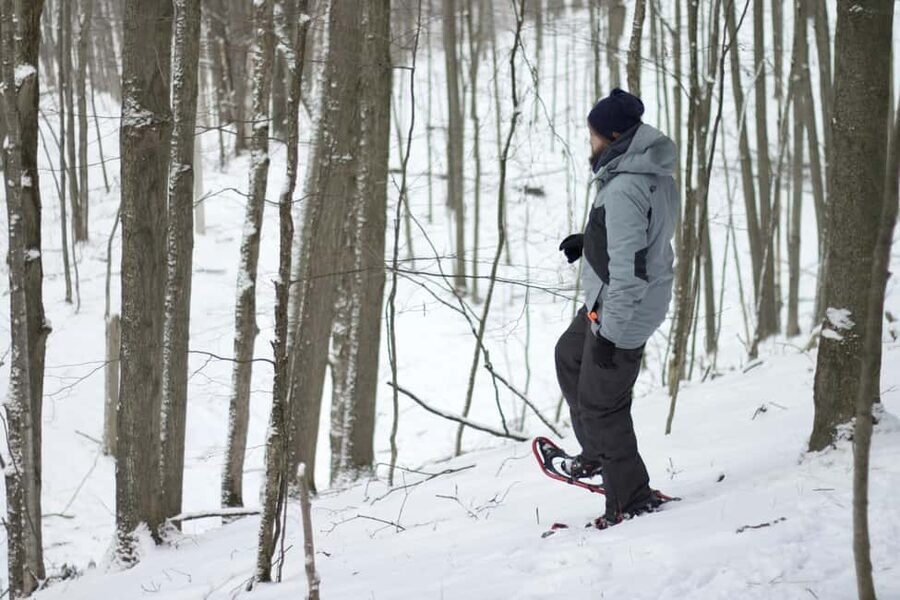 Rovaniemi: Snowshoeing Tour with Wild Lunch and Hotel Pickup - Winter quiet outside Rovaniemi is the real draw