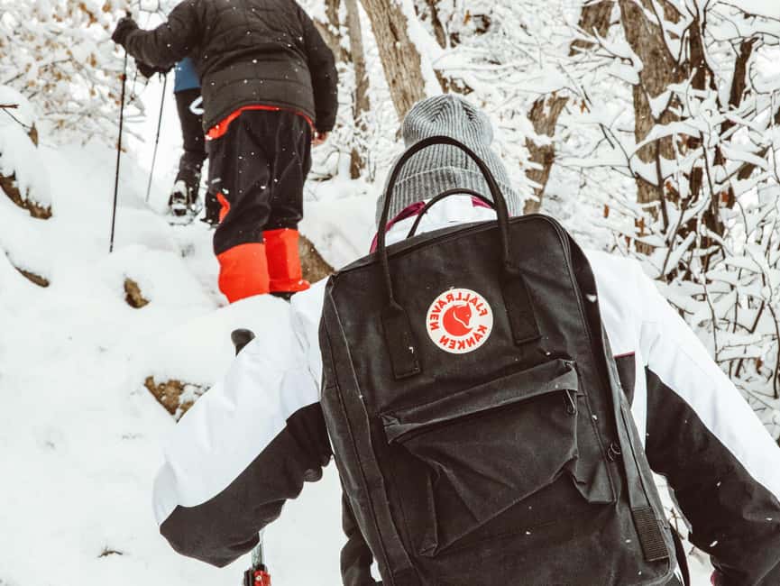 Rovaniemi: Snowshoeing Tour with Wild Lunch and Hotel Pickup - Price and value: what you pay for (and what you avoid)