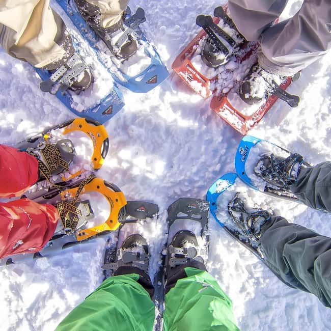 Rovaniemi: Snowshoeing Tour with Wild Lunch and Hotel Pickup - How pickup and the drive set the tone