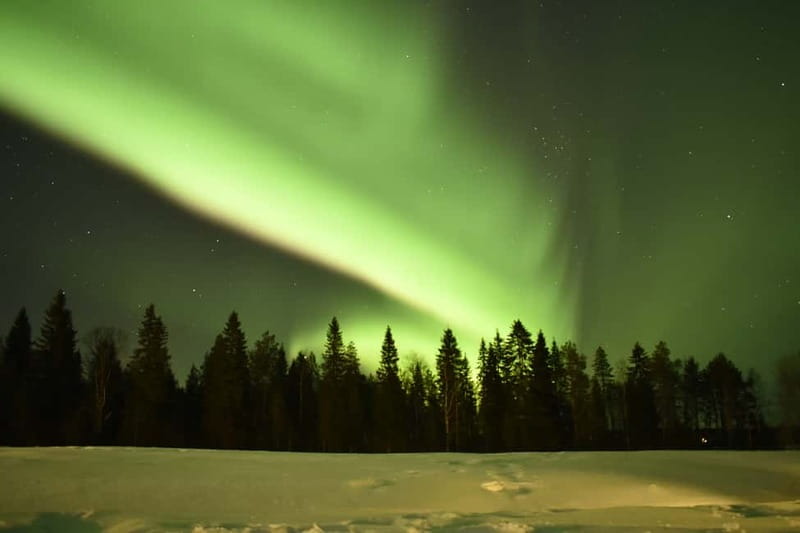 Rovaniemi: Snowtrain to Northern Lights Camp - The Snowtrain ride: comfort, closeness, and why it matters for aurora spotting
