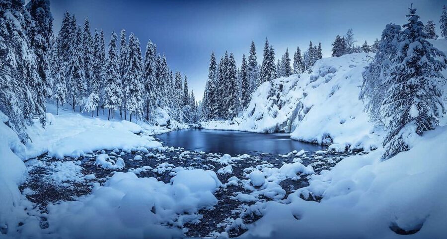 Rovaniemi: Snowy Forest Like in the Movies 3 Hour Tour - Key things I’d actually prioritize before booking