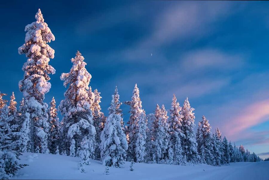 Rovaniemi: Snowy Forest Like in the Movies 3 Hour Tour - From your pickup in Rovaniemi to quiet roads far from buses