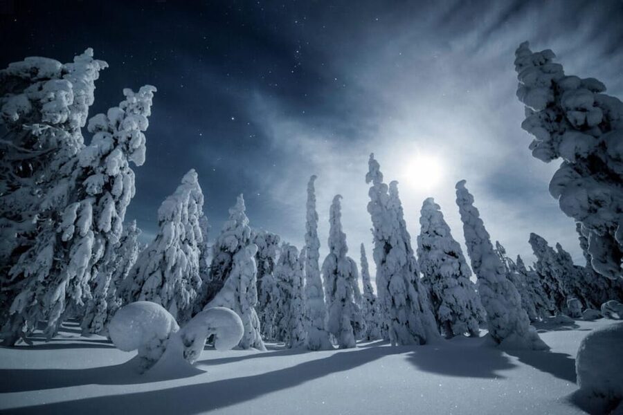 Rovaniemi: Snowy Forest Night Hike with Northern Lights - Key things to know before you go