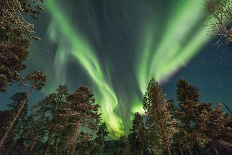Rovaniemi: Snowy Forest Night Hike with Northern Lights - First steps into the Arctic night: what the start feels like