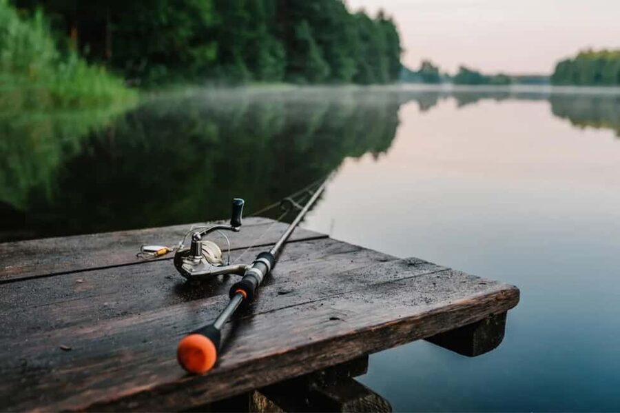 Rovaniemi: Summer & Autumn Fishing Tour in Lapland & BBQ - Key things I’d plan around