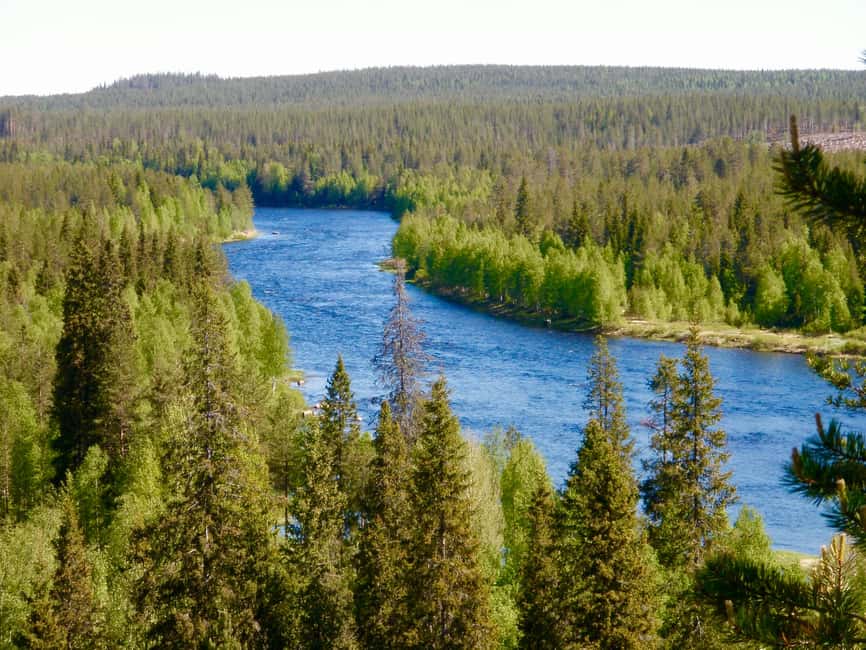 Rovaniemi: Summer & Autumn Fishing Tour in Lapland & BBQ - Price and value: why $128 feels fair for what’s included