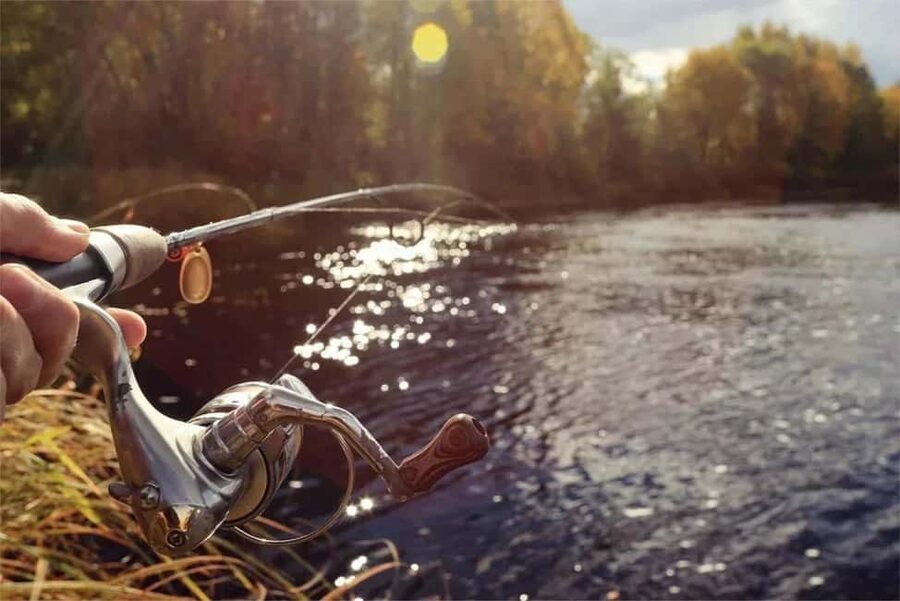 Rovaniemi: Summer & Autumn Fishing Tour in Lapland & BBQ - Gear included, and the guide handles the setup