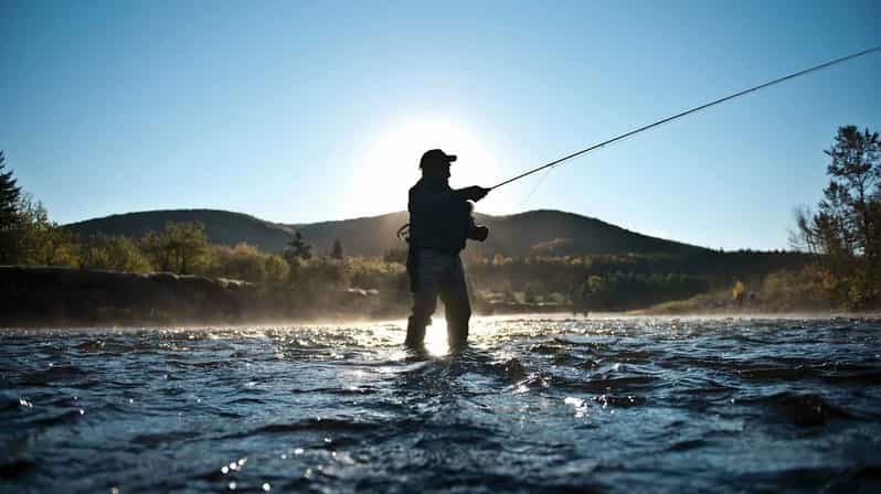 Rovaniemi: Summer & Autumn Fishing Tour in Lapland & BBQ - What you’ll likely catch: perch, pike, and grayling (and why that matters)