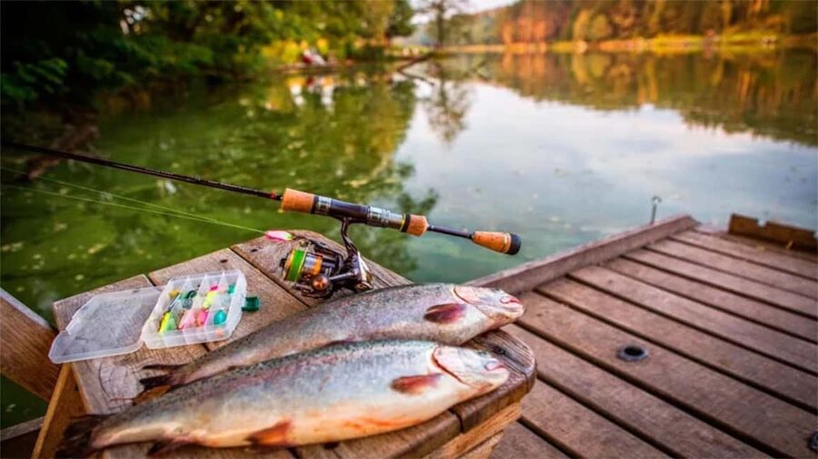 Rovaniemi: Summer & Autumn Fishing Tour in Lapland & BBQ - Warm drinks and grilled sausages BBQ by the water