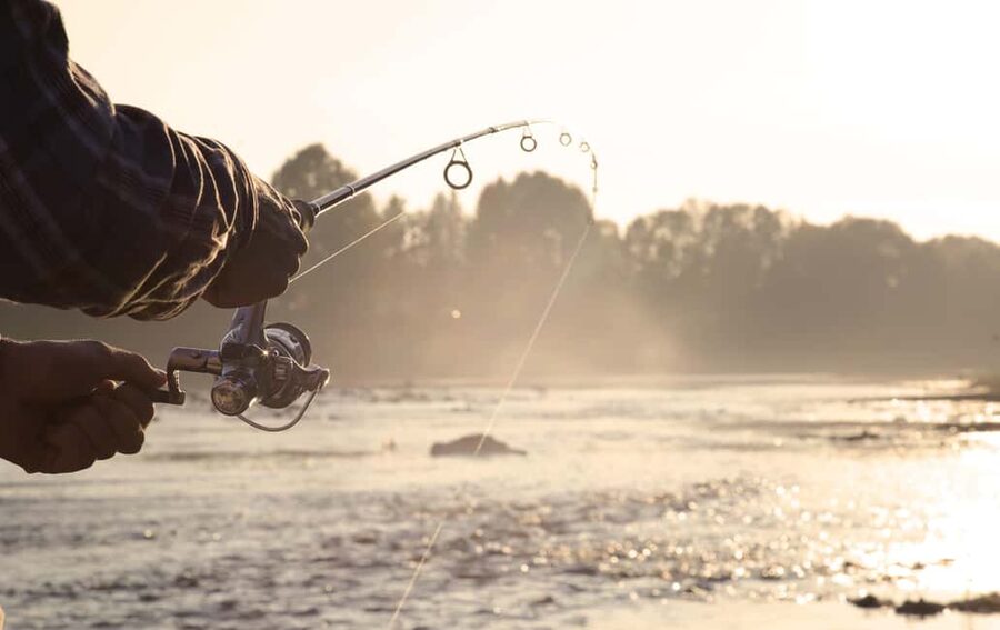 Rovaniemi: Summer & Autumn Fishing Tour in Lapland & BBQ - Season matters: summer light vs autumn color changes the vibe