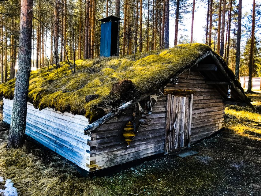 Rovaniemi: Summer Reindeer Farm Experience - Meeting the herder: what makes this tour feel genuinely local