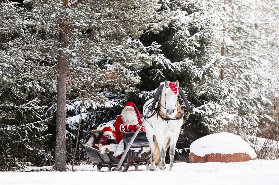 Rovaniemi: Traditional Finnhorse Sleigh Ride at SCV (3km) - Key points to know before you go