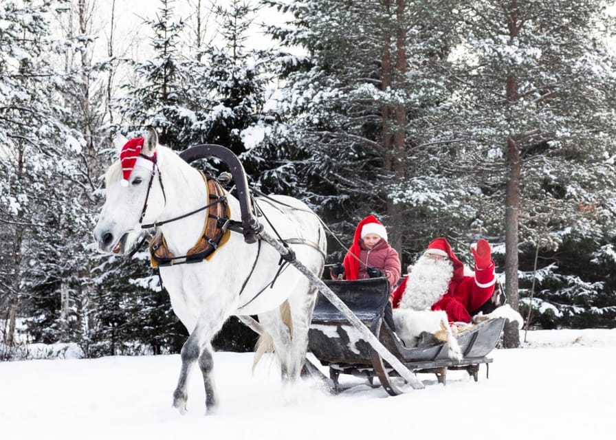 Rovaniemi: Traditional Finnhorse Sleigh Ride at SCV (3km) - The guided start: meeting the horses and getting oriented