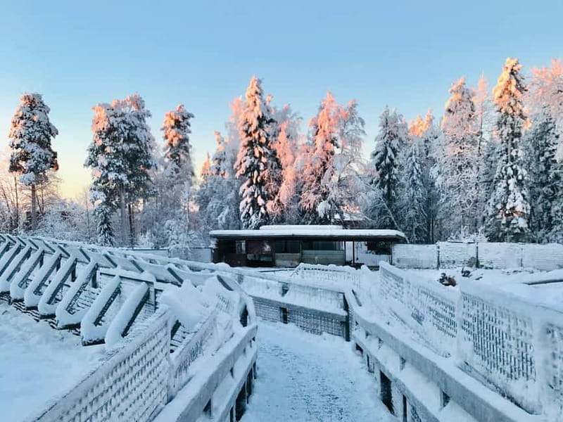 Rovaniemi: Trip to Ranua Zoo with Tickets - What winter wildlife is likely to look like once you’re inside
