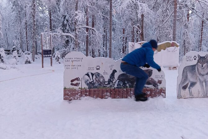 Rovaniemi: Trip to Ranua Zoo with Tickets Included - From Rovaniemi to Ranua Zoo: how the day really works