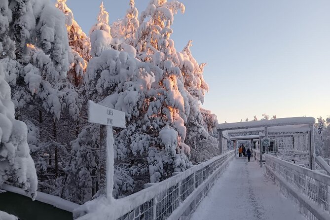 Rovaniemi: Trip to Ranua Zoo with Tickets Included - The flexible pace: self-guided exploring inside the park