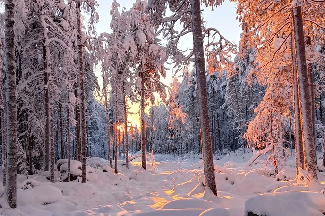 Rovaniemi: Trip to Ranua Zoo with Tickets Included - Food and sweets near the zoo: a warm break that feels local