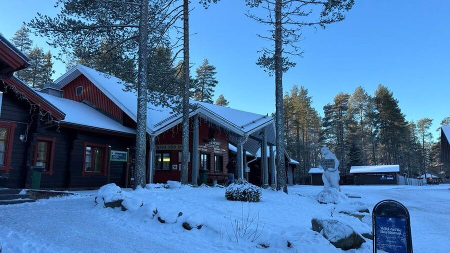 Rovaniemi: trip to the Ranua Zoo (transportation, tickets) - Family-Friendly Stops, Including a Playground Spot