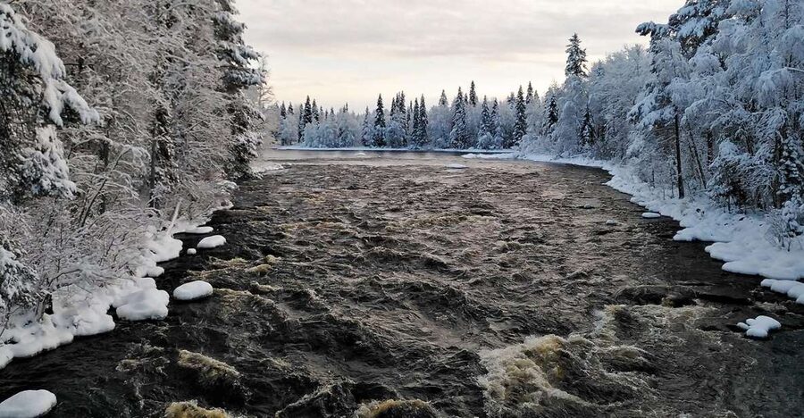 Rovaniemi: Vaattunki Hiking Arctic Circle Trail - The open fire break: sausages, warm drinks, and local stories