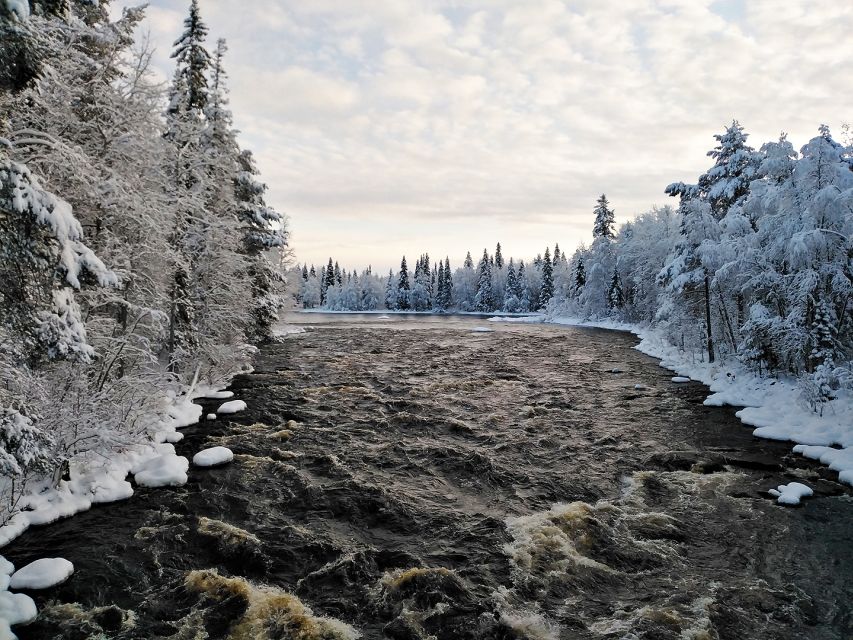 Rovaniemi: Vaattunki Hiking Arctic Circle Trail - Wildlife in Lapland: what you might see, and how to act