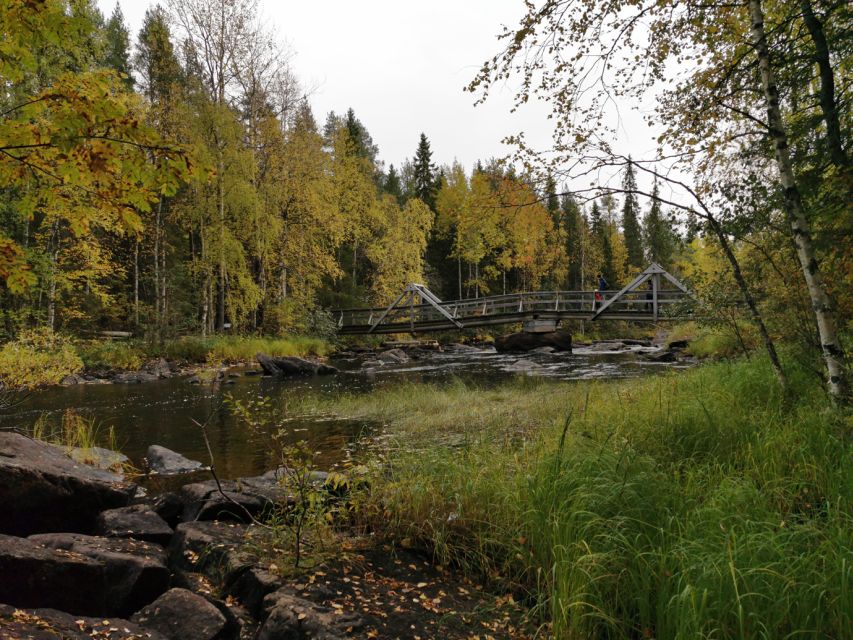 Rovaniemi: Vaattunki Hiking Arctic Circle Trail - Transportation, timing, and the small-group advantage