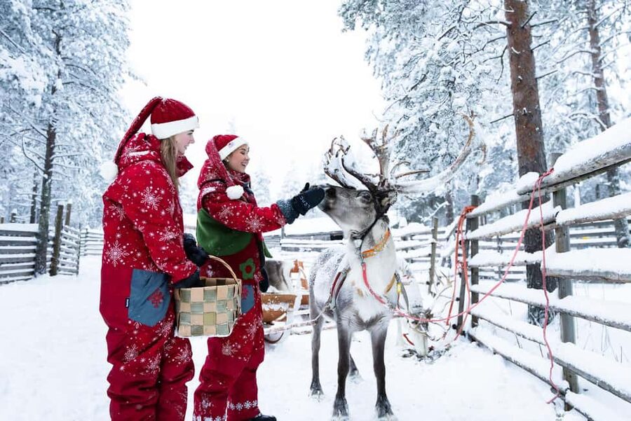 Rovaniemi: Visit to Santa's reindeer farm with reindeer ride - Key highlights you will feel right away