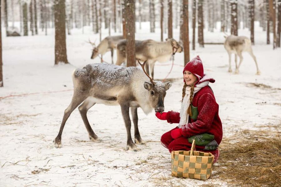 Rovaniemi: Visit to Santa's reindeer farm with reindeer ride - Elf suits for photos: fun add-on, not a replacement for layers