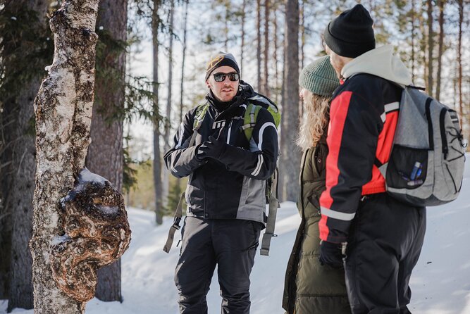 Rovaniemi - Visit to The Frozen Waterfalls of Korouoma - Campfire BBQ lunch and warm breaks in the winter reserve