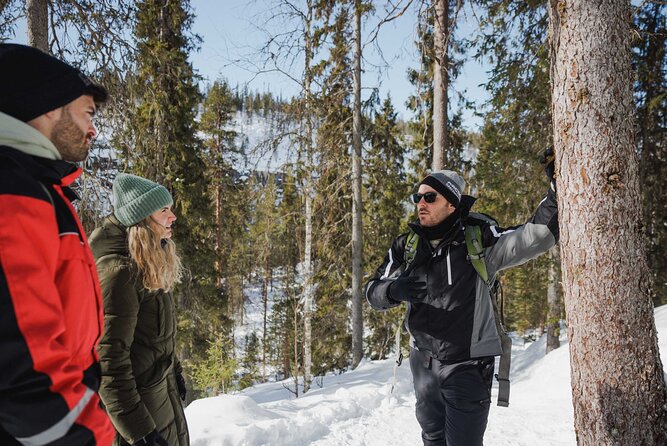 Rovaniemi - Visit to The Frozen Waterfalls of Korouoma - Group size, guides, and why the experience feels personal