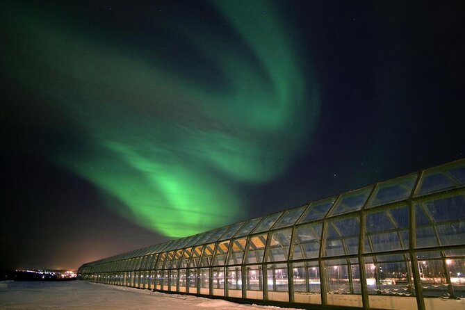 Rovaniemi walking tour and guided Arktikum experience - Key Things You’ll Like About This Rovaniemi and Arktikum Tour