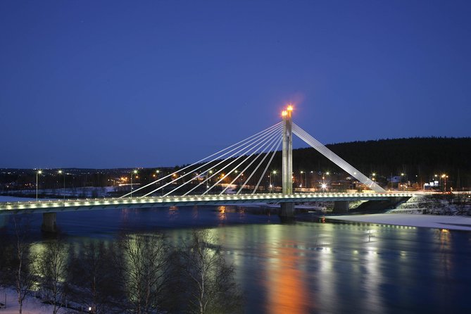 Rovaniemi walking tour and guided Arktikum experience - What You’ll Learn About Arctic Life (and How It Changes How You Look at Things)