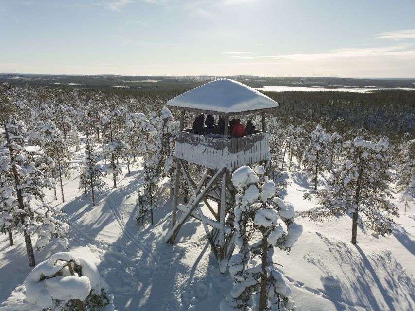 Rovaniemi: Wilderness Tour - Winter Lesson in the Snow: Footprints, Animal Signs, and Easy Trail Time