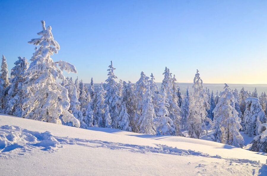 Rovaniemi: Wilderness Tour - Logistics That Matter in Lapland: Pickup, Clothing, and What to Bring