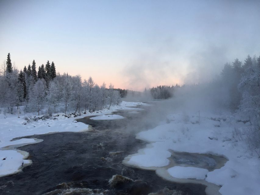 Rovaniemi: Wilderness Tour - Value Check: Why $104 Feels Reasonable for This Much Hands-On