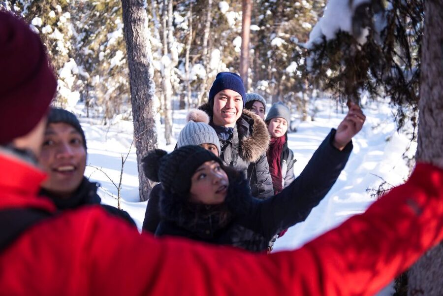 Rovaniemi: Wilderness Tour - Who Should Book This Tour (and Who Might Want to Skip)