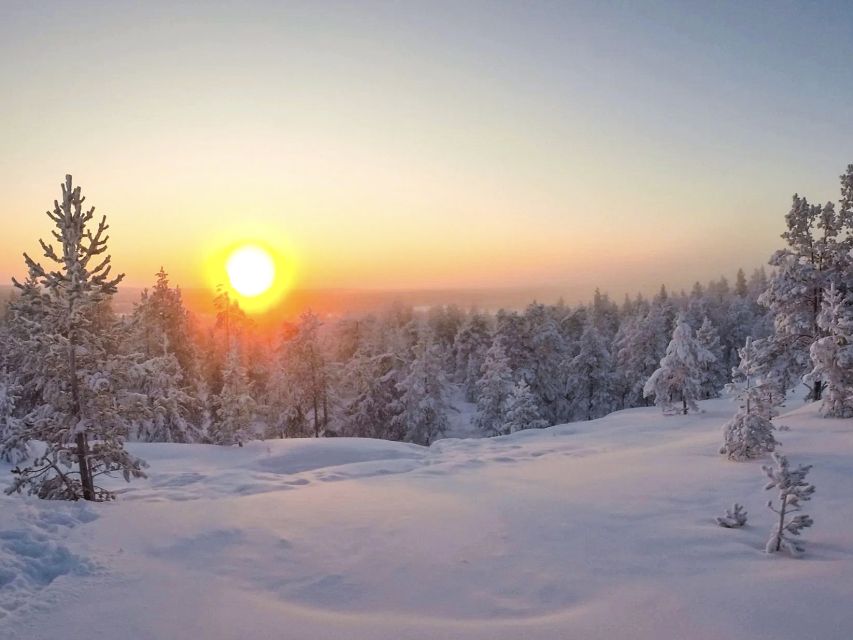 Rovaniemi: Wilderness Tour - Should You Book This Rovaniemi Wilderness Tour with Wild about Lapland?