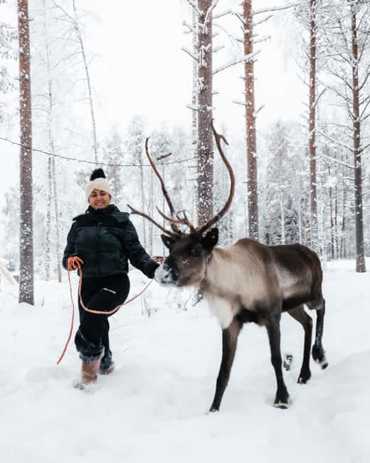 Rovaniemi Winter Activities & Northern Lights! - Who should book this Northern Lights Park day, and who should skip it