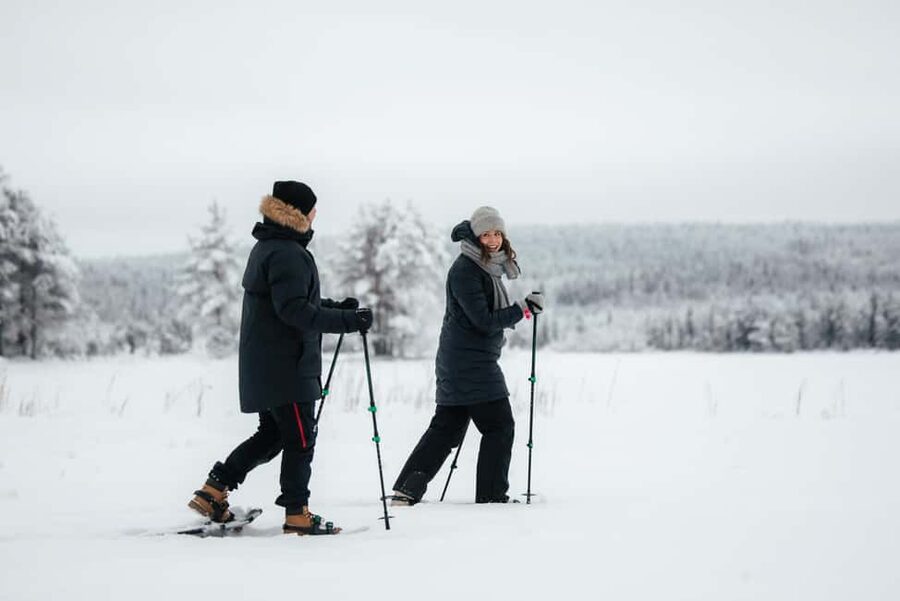 Rovaniemi Winter Activities & Northern Lights! - Waiting for the northern lights: timing, patience, and what you can expect