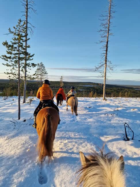 Rovaniemi: Winter Horseback Ride on Snowy Hills and Forests - Key things to know before you go