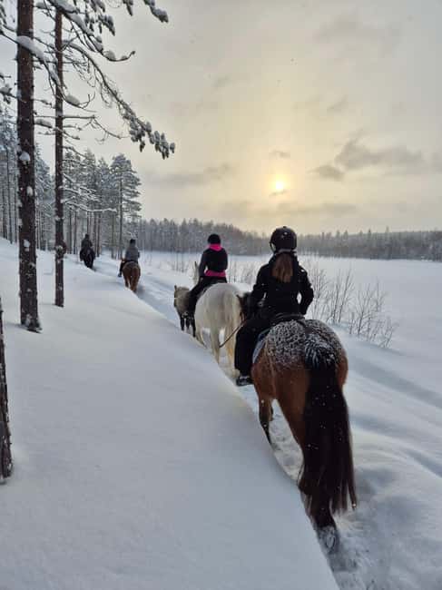 Rovaniemi: Winter Horseback Ride on Snowy Hills and Forests - Ranch Kuulas, 40 minutes north of Rovaniemi, and why it matters