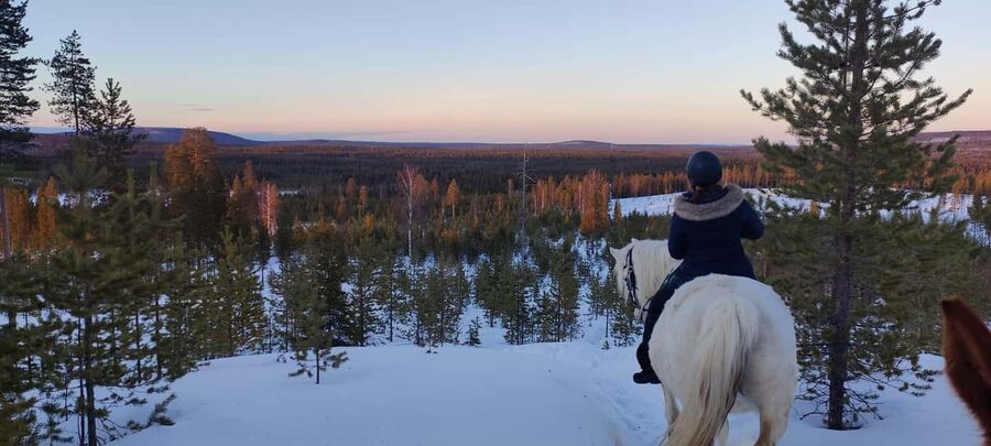 Rovaniemi: Winter Horseback Ride on Snowy Hills and Forests - Price and value: what you get for about $182
