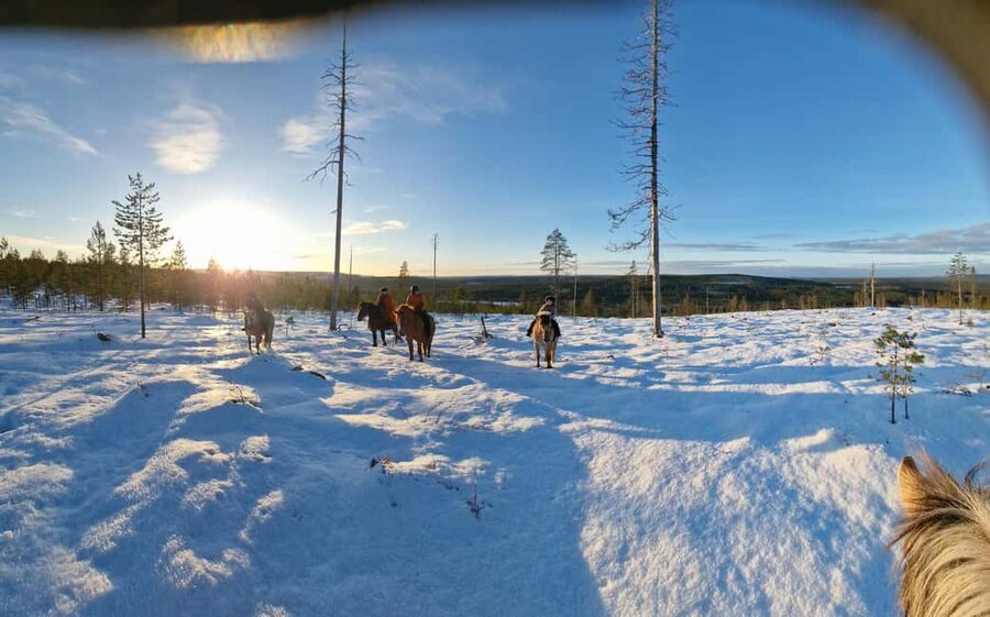 Rovaniemi: Winter Horseback Ride on Snowy Hills and Forests - Finnish horses and a beginner-friendly riding style