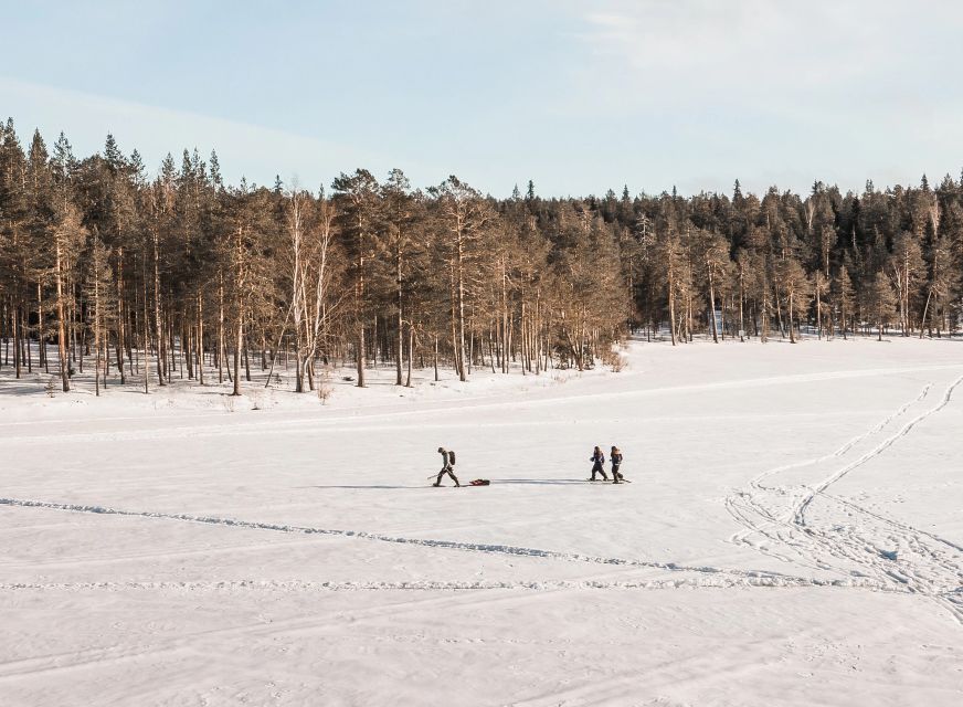 Rovaniemi: Winter Wilderness Snowshoeing Trip - Price and Value: Is $104 Worth It?