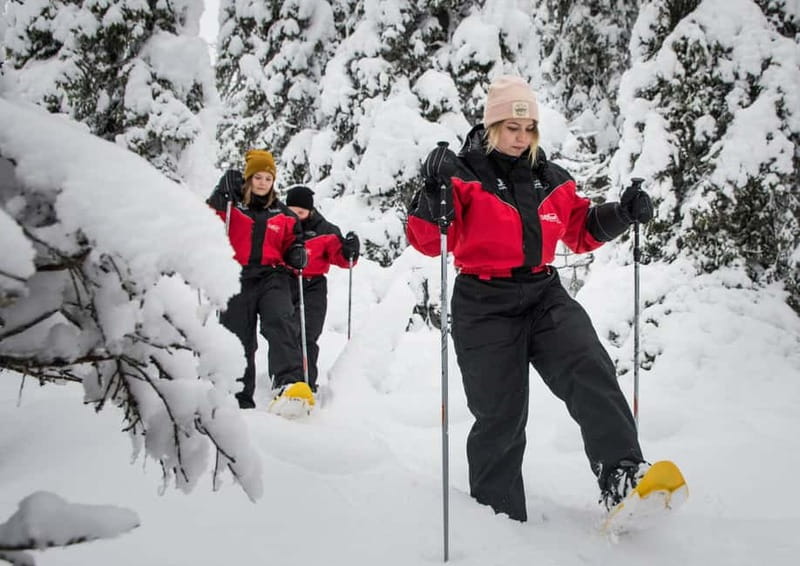 Ruka:Daytime winter wonderland hike - Why Ruka looks like winter means business