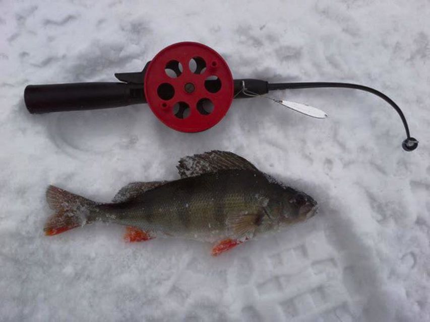 Ruka: Ice fishing trip - Who This Ice Fishing Trip Suits Best (and Who Might Prefer Another Day)