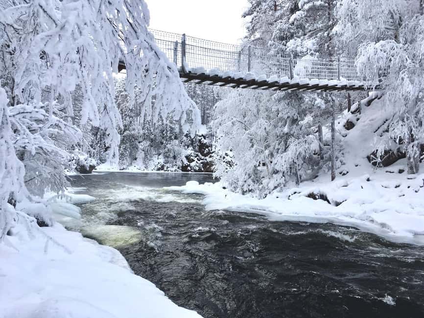 Ruka: Oulanka National Park Snowshoeing Tour - Myllykoski Rapids and the Hanging Bridge Above the Water